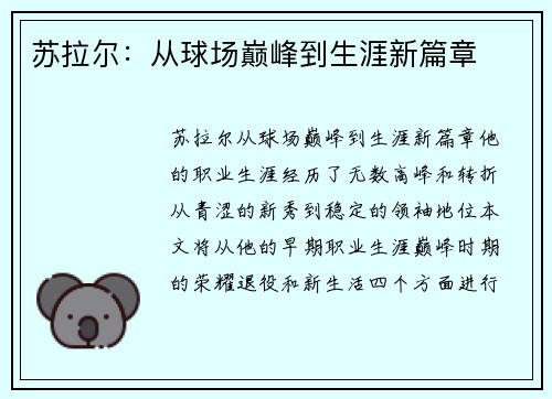 苏拉尔：从球场巅峰到生涯新篇章